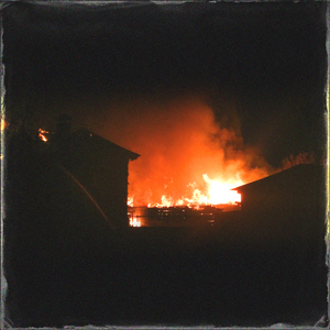 东条夏有无码电影
